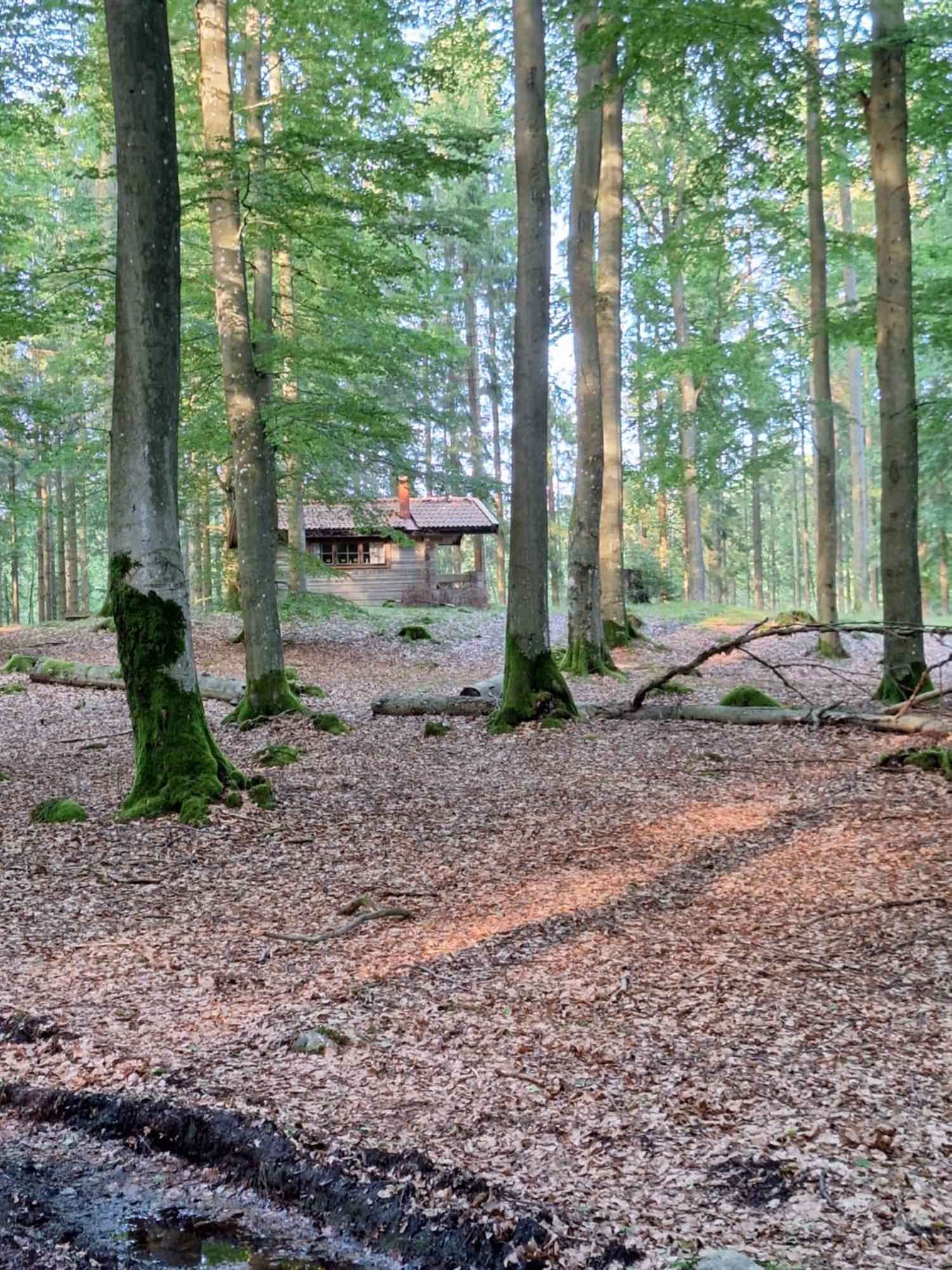 Bjaernhultsgardens Stugor Linderod Extérieur photo