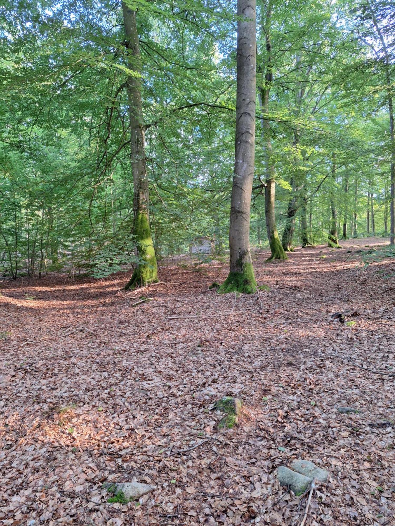 Bjaernhultsgardens Stugor Linderod Extérieur photo